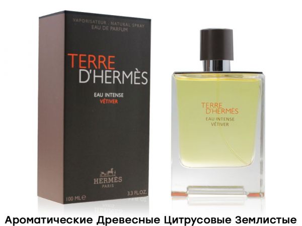 HERMES TERRE D'HERMES EAU INTENSE VETIVER, Edp, 100 ml wholesale